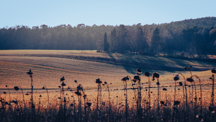 Sun shining on the fields on a warm autumn day
