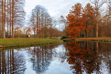 Fototapeta na wymiar walking people in park with river, fall season