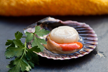 natural scallop in its shell, shellfish