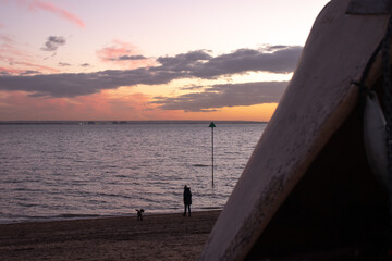 dog walking at sunset