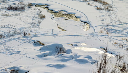 Obraz premium Winter landscape with a fast river with ice-free water, snow, dry grass and rocky shores
