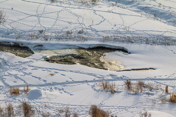 Open water on a snowy river, shrubs, dry grass and footprints in winter