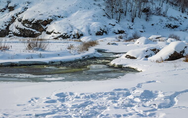Winter landscape with a fast river with ice-free water, snow, dry grass, trees and rocky shores