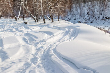 Footprints in the snow close-up against the background of trees in winter