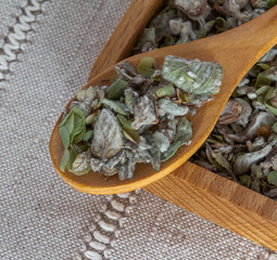 Origanum dictamnus, dittany of Crete tea on wooden spoon and wooden plate linen napkin background....