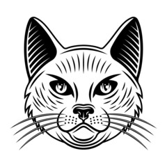 Fototapeta na wymiar Cat head vector illustration in vintage monochrome style isolated on white background
