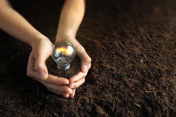 lightbulb with small plant on soil and sunshine. concept saving energy in nature