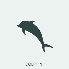 Dolphin vector icon illustration sign