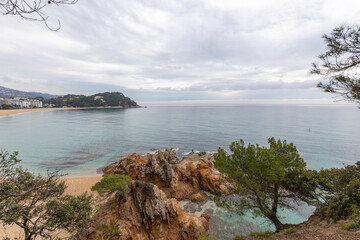 Obraz premium Mediterranean Sea, Spain, Costa Brava. Picturesque landscape with azure sea. Pine trees on the shores of the azure coast. A beautiful beach with lush greenery.