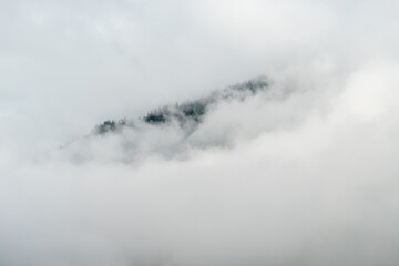 Mountain in mist - Forest under the fog - Mountain shrouded in wafts of fog