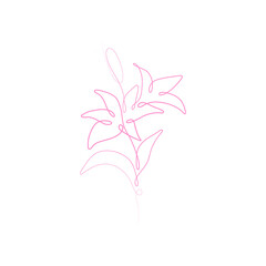 One line lily flower. Creative artwork flower silhouette. Hand drawn minimalism style vector illustration.