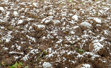arable land snow
