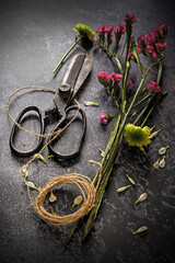Flower branches and vintage scissors for flower arrangement, dark and moody style