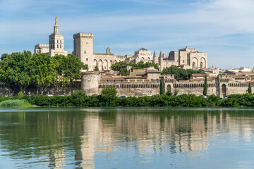 Avignon, Vaucluse - France - July 10 2021: Skyline of Palais des papes and Roine river.