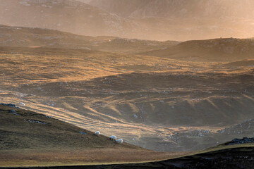 Fototapeta premium Scotish cloudy landscape