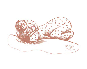 newborn in a hat sleeps on its stomach