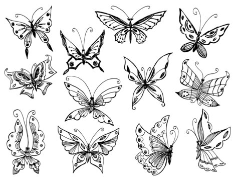 Contour drawings of various decorative fantasy butterflies