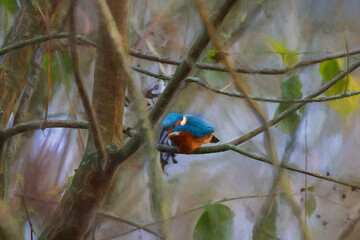 Digital painting of a common Eurasian kingfisher, Alcedo atthis perched by a pond.