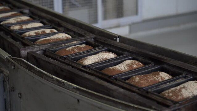 A production line in the bread-making factory on an automated conveyor belt. Close up on bread being prepared in the production factory. Food manufacturing concept.