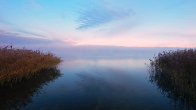 Foggy morning. Slow drone flight over the blue water during sunrise. Silhouette of bird. 