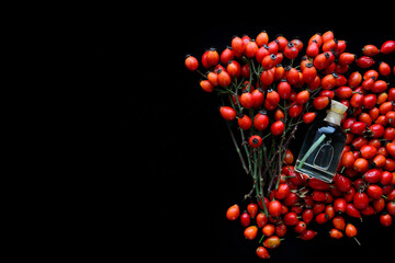 rosehip branches with red dog rose fruits on a black  table	
