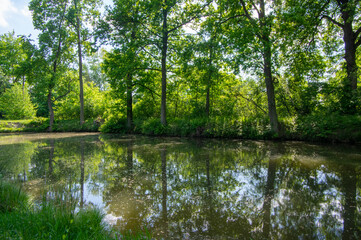 Fototapeta na wymiar Natural location Na Podkove near Chrudima river, oxbow surrounded with trees and greenery, water surface reflections