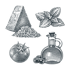 Parmesan cheese, Cherry tomatoes, olive oil jar and basil. Hand drawn engraving style illustrations. Vector illustration.