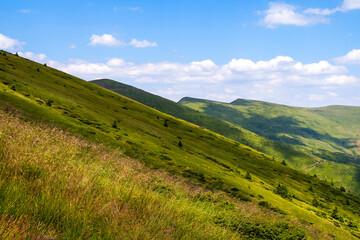 Bright landscape with grassy green meadow and distant mountain hills in summer