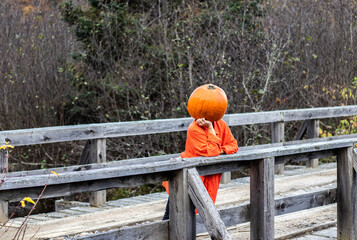 Profile view on a very beautiful woman with pumpkin head is pensive on a bridge in nature, autumn orange color and horizontal image