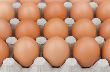 Fresh brown chicken eggs in a cardboard box.