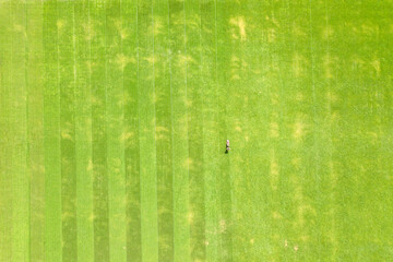 Aerial view of small figure of man worker trimming green grass with mowing mashine on football stadium field in summer - obrazy, fototapety, plakaty