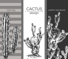 Desert Cactus design, set black White_Desert Cactus design, set of floral, plant backgrounds, cartoon cactus, collection of succulents, hand drawing contour, stripe,
