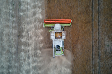 Aerial view of combine harvester working during harvesting season on large ripe wheat field. Agriculture concept