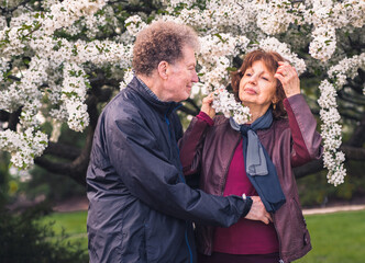 Portrait of smiling senior couple  in spring next to blooming crabapple tree; man looking at woman affectionally