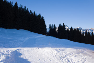The forest edge in the Mont Blanc massif in Europe, France, Rhone Alpes, Savoie, Alps, in winter on a sunny day.