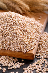 Raw organic Pearl barley on wooden board