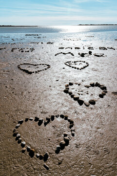 une multitude de cœurs de galets répartis sur une plage  