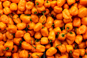 A close-up of tiny orange chilies on display for sale to the public. Orange habanero peppers for sale. - obrazy, fototapety, plakaty