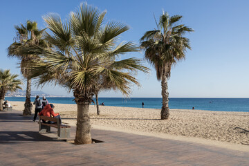 Obraz premium Coqueiros na praia de Barcelona na Espanha