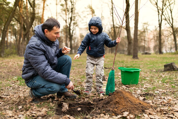 Little boy and his father planting new tree, smiling and having fun in spring outdoors in forest