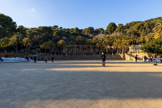 &aacute;rvores no parc guell, Barcelona