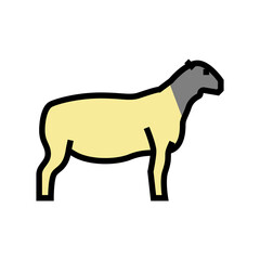 dorper sheep color icon vector. dorper sheep sign. isolated symbol illustration
