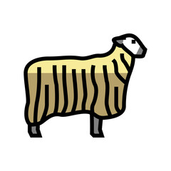 13 teeswater sheep color icon vector. 13 teeswater sheep sign. isolated symbol illustration