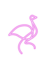 Pink neon icon ostrich isolated on white