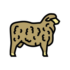 corriedale sheep color icon vector. corriedale sheep sign. isolated symbol illustration