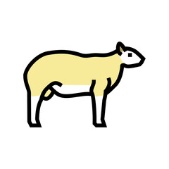 texel sheep color icon vector. texel sheep sign. isolated symbol illustration