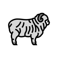 merino sheep color icon vector. merino sheep sign. isolated symbol illustration