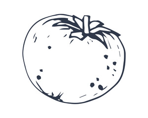 One tomato isolated on white background. Flat vector illustration. Eps 10