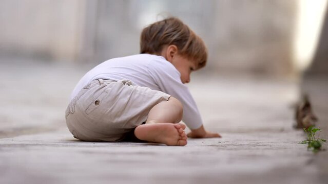 Little boy falling on the ground and getting up child stands up