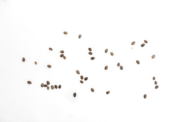 Semi di chia, chia seed